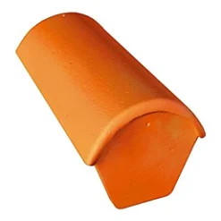 Castorama Faîtière D'aboutde 42 (début) Plein Ciel Muscade