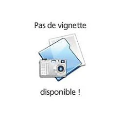 Castorama Faîtière Double Cotto Type Marseille Brun