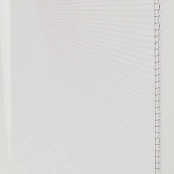 Castorama Plaque Alvéolaire Polycarbonate Translucides 300 X 100 Cm, ép.16 Mm (vendue à La Plaque)