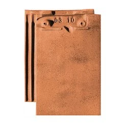 Castorama Tuile Beauvoise Flammé Rustique